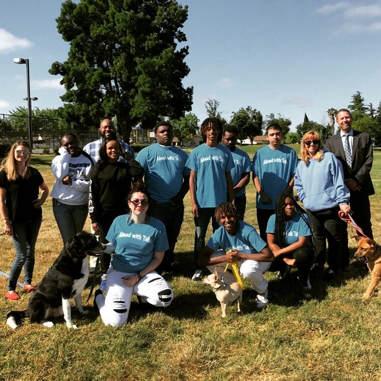 Good Sense Dogs - July 2020 Charity of the Month!