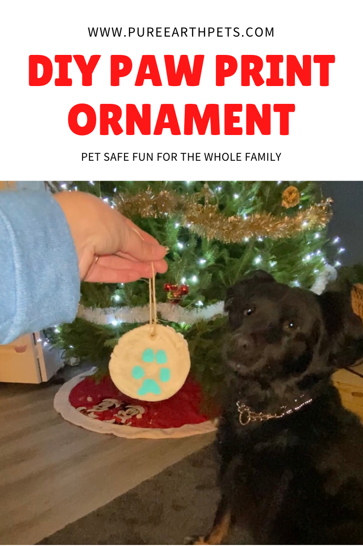 DIY PAW PRINT ORNAMENT