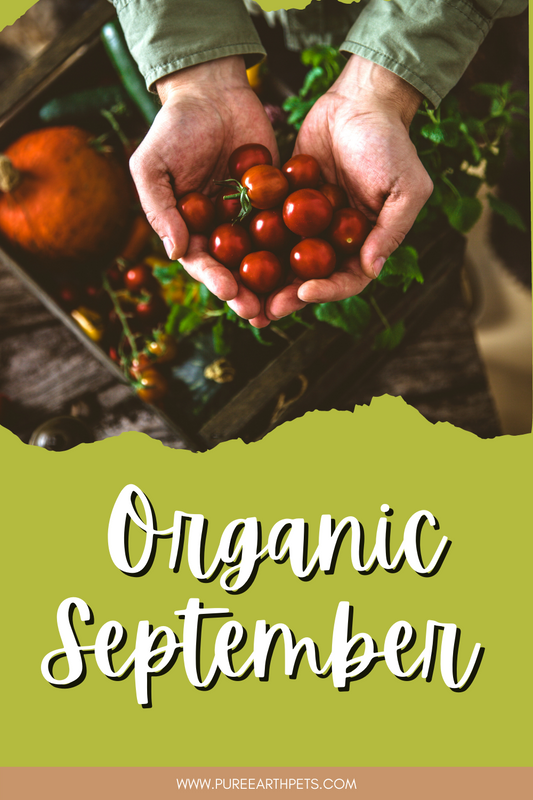 Organic September