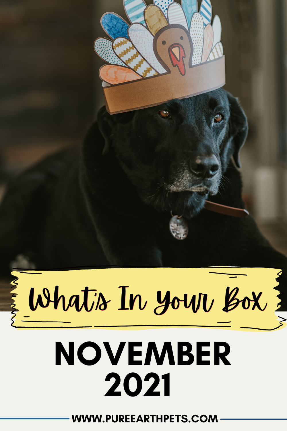 What’s In Your Box: November 2021