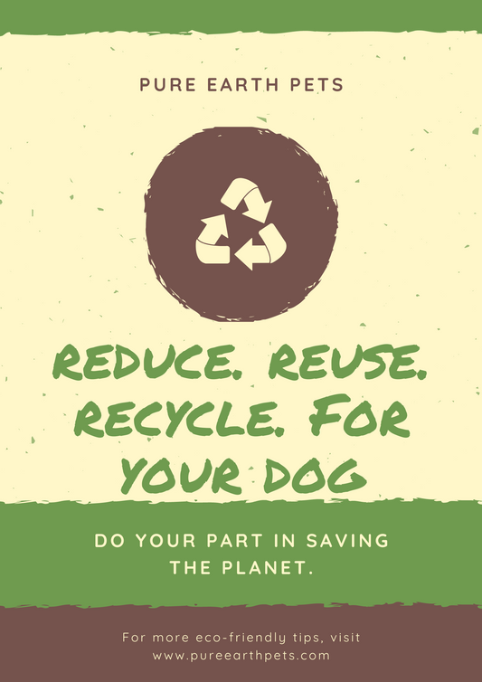 Reduce - Reuse - Recycle (with your dog)