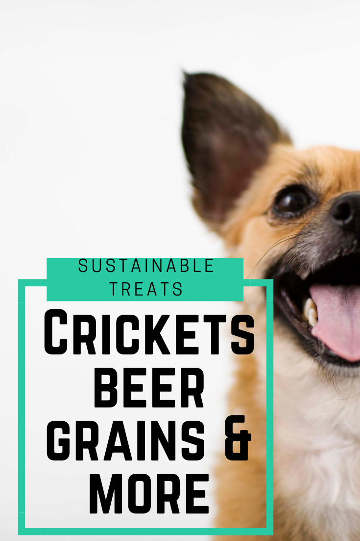 Crickets, Brew Grains & Sustainable Treats